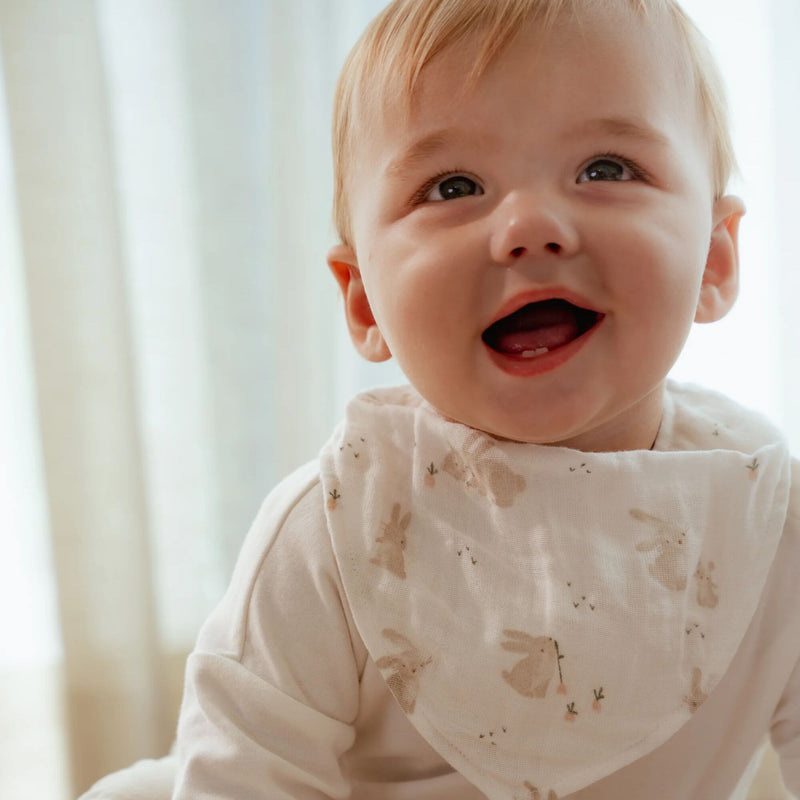LD Bandana Bibs 2pc