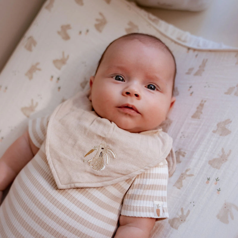 LD Bandana Bibs 2pc