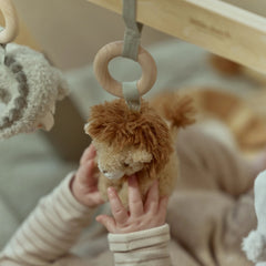 LD Babygym Safari Friends