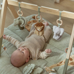 LD Babygym Safari Friends