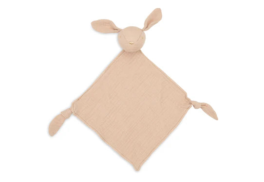 Pacifier Cloth Bunny Ears