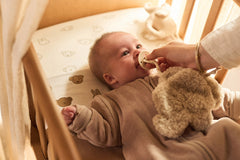 Pacifier Cloth Elephant Tales