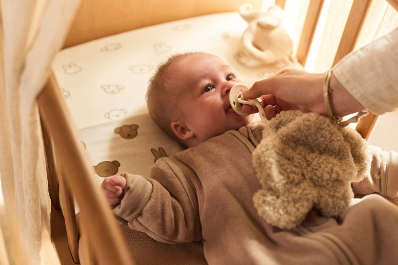 Pacifier Cloth Elephant Tales