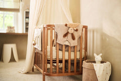 Pacifier Cloth Diego Dog