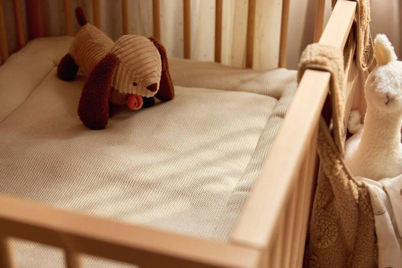 Stuffed Animal  Diego Dog