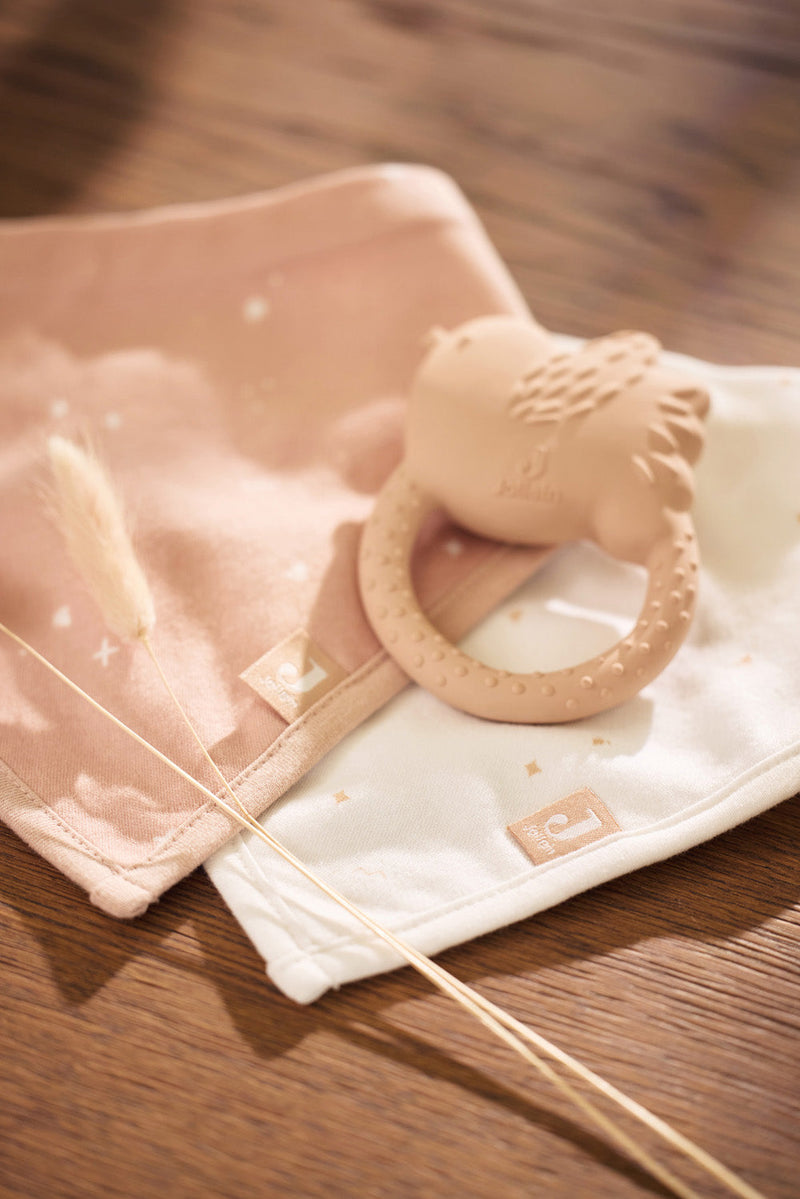 Teething Ring Rubber