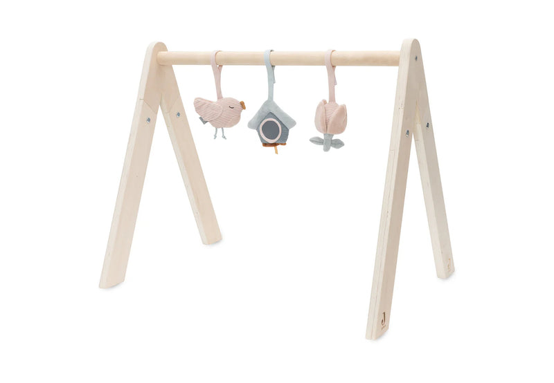 Babygym Toys