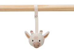 Babygym Toys