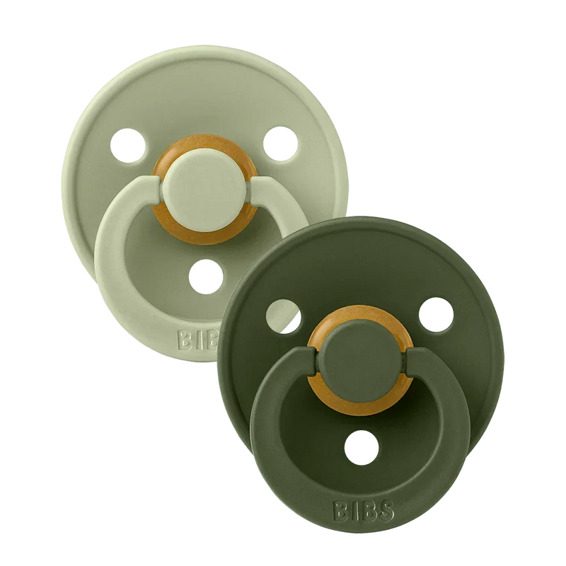 Bibs Pacifier Colour 2 PACK