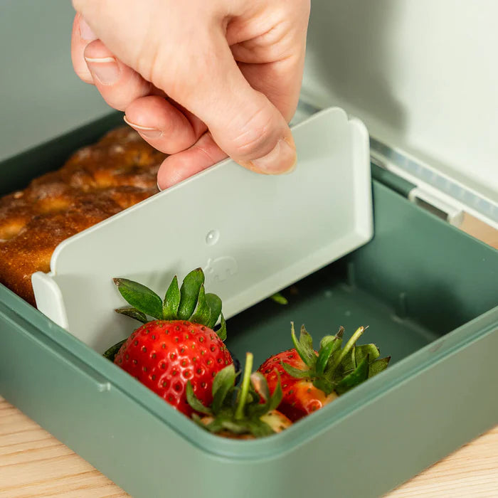 Lunchbox With Divider