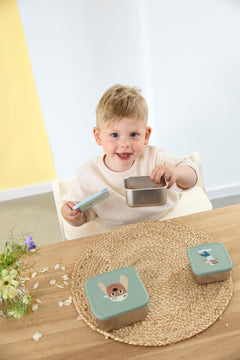 Snackbox Stainless Steel Tiny Team