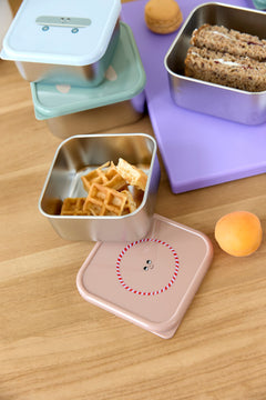 Snackbox Stainless Steel Tiny Team