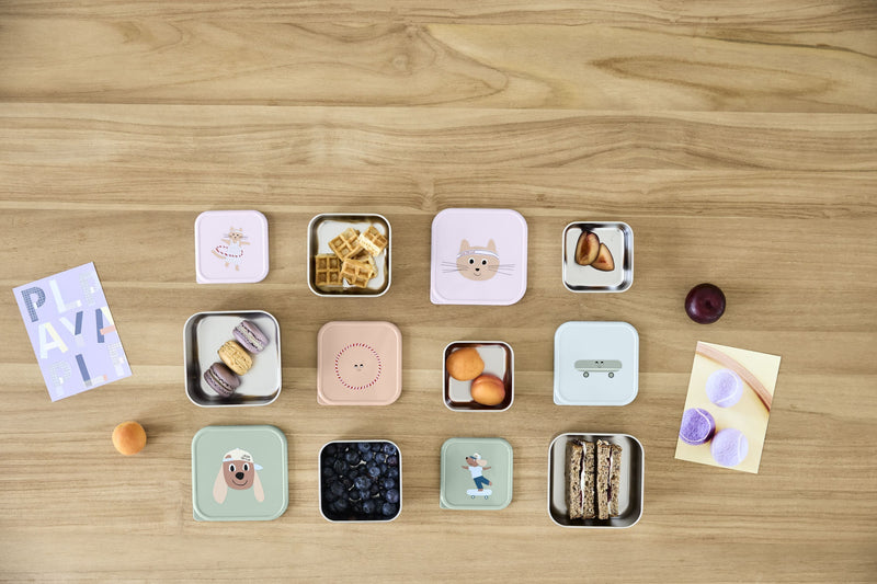 Snackbox Stainless Steel Tiny Team