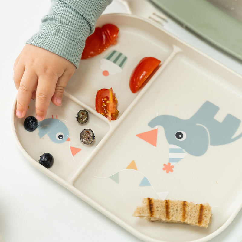 Foodie Compartment Plate