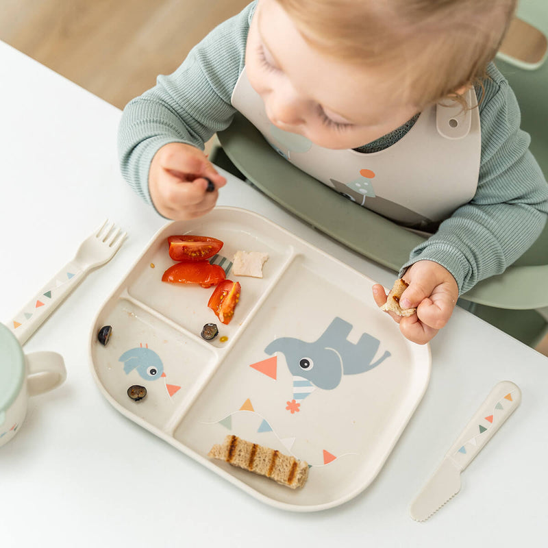 Foodie Compartment Plate