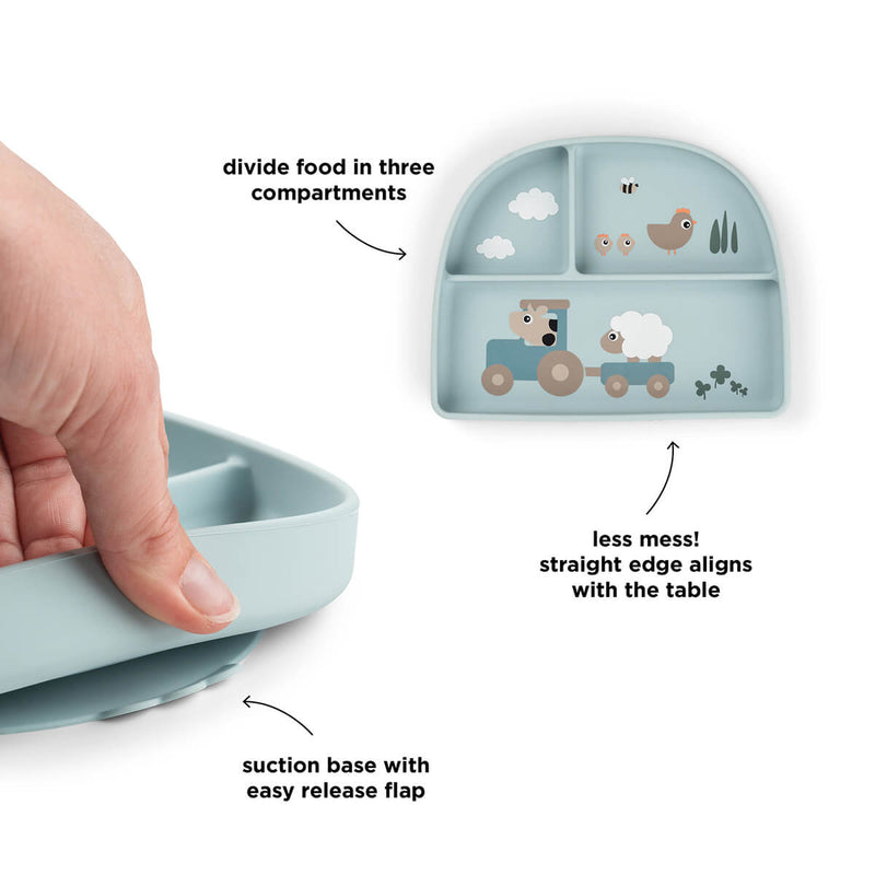 Stick& Stay Compartment Plate Celebration