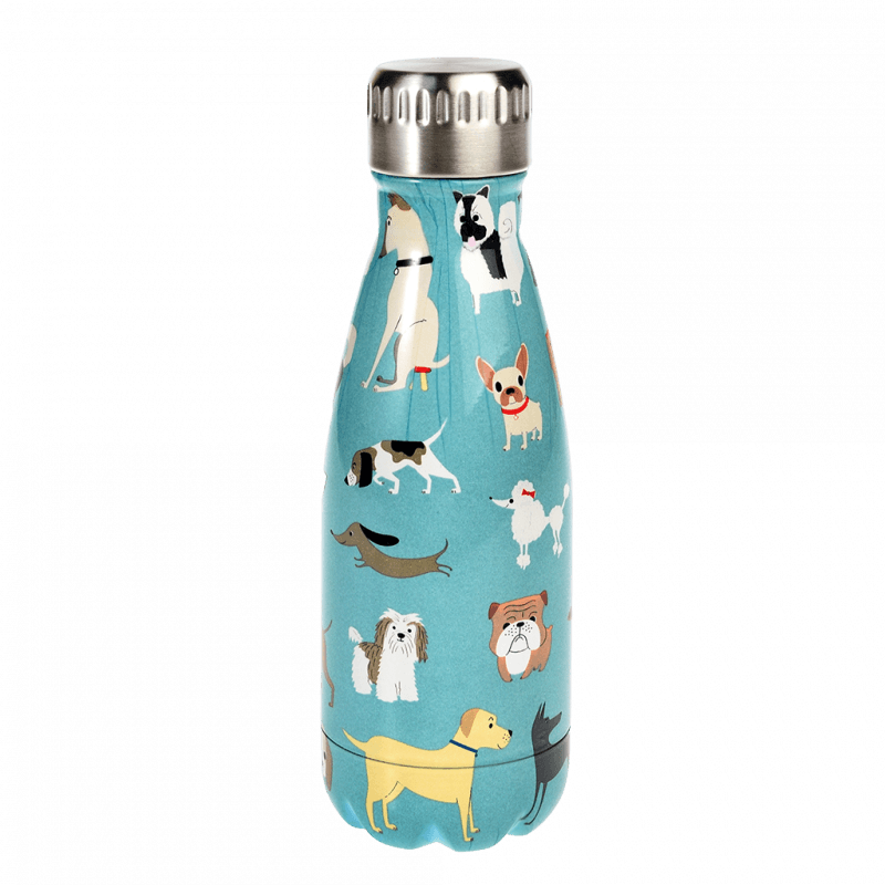 Stainless Steel Bottle 260ml