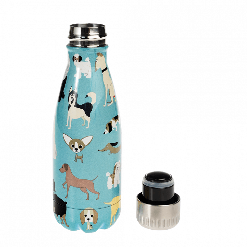 Stainless Steel Bottle 260ml