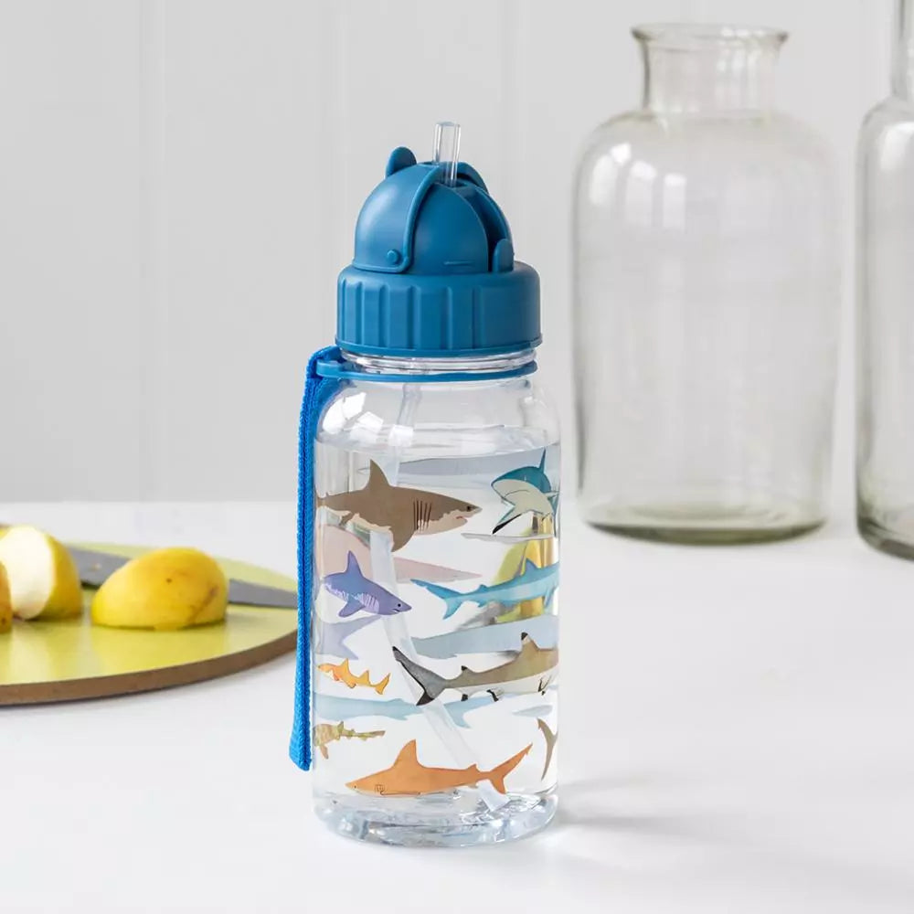 Water Bottle With Straw