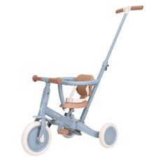 LD Tricycle With Push Bar