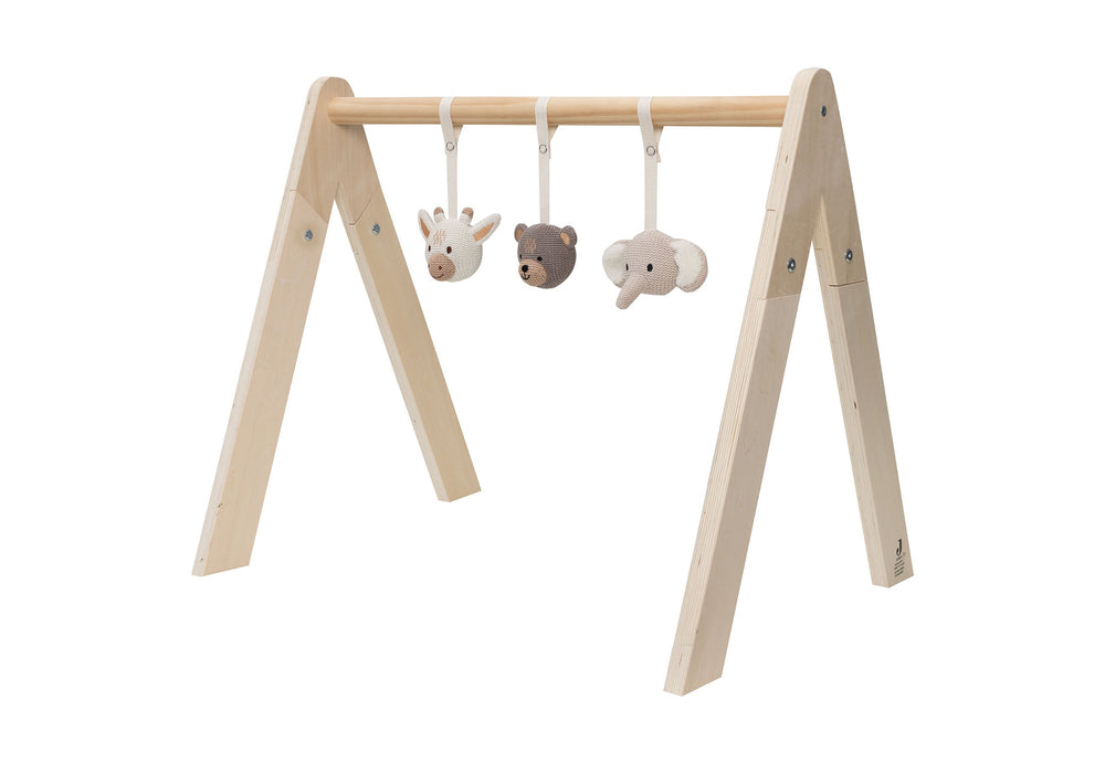 Babygym Toys