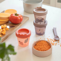 Baby Food Container 3pck