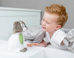 Zazu Davy Sleeptrainer