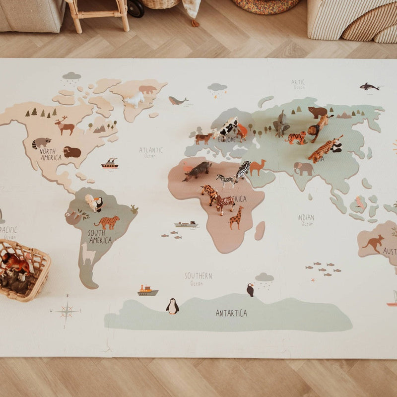 Reversible Playmat & Storage Box EEVAA
