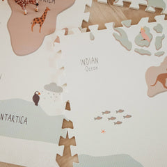 Reversible Playmat & Storage Box EEVAA