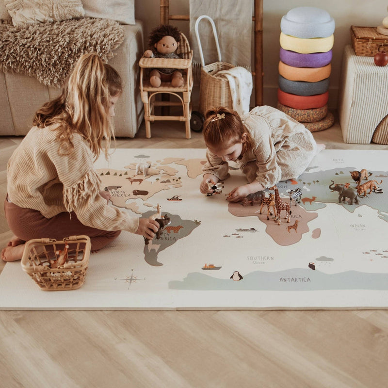 Reversible Playmat & Storage Box EEVAA