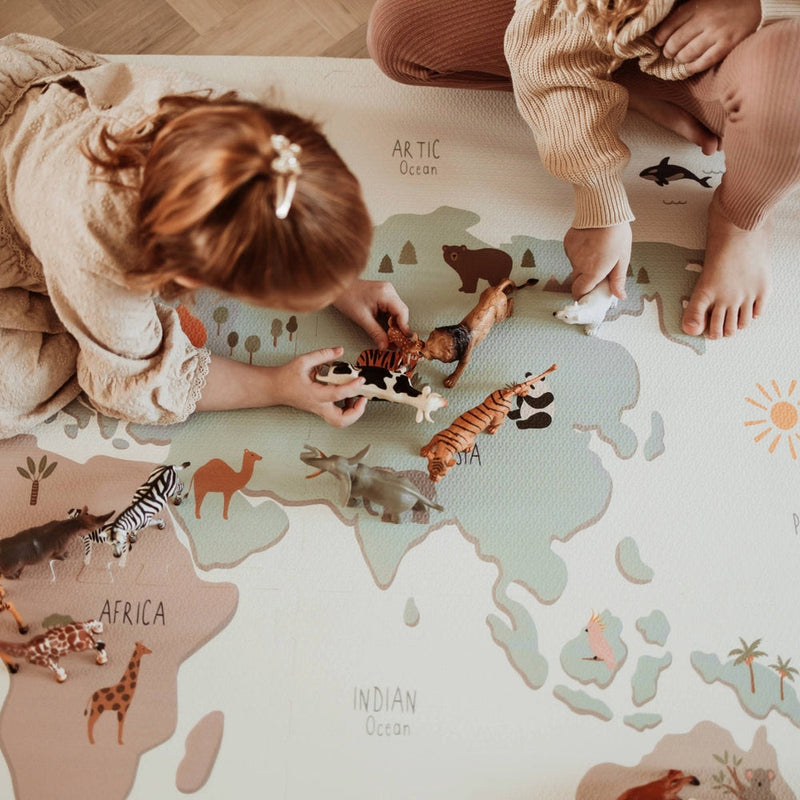 Reversible Playmat & Storage Box EEVAA