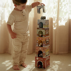 LD Stacking Block With Cars FSC