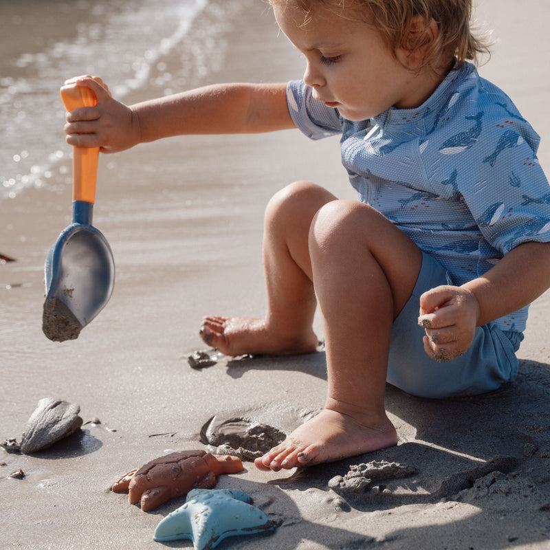 LD Beach Set Ocean World
