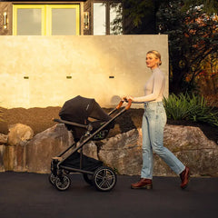 Nuna Mixx Next Travel System