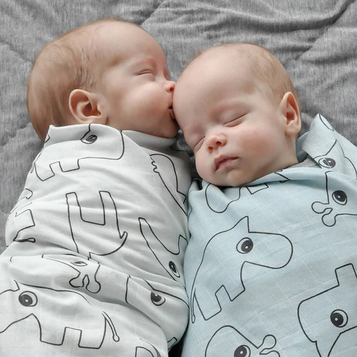 Swaddle 2 Pack