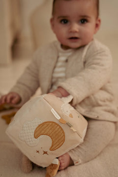 LD Activity Cube Newborn Naturals
