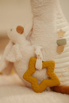 LD Activity Cuddle Goose