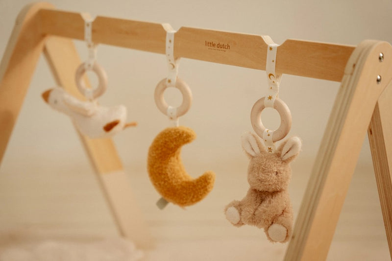 LD Babygym Newborn Naturals