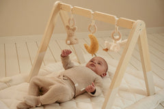 LD Babygym Newborn Naturals