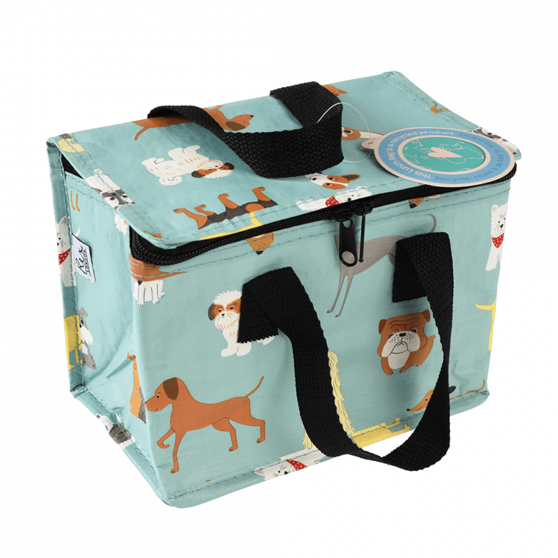Insulated Lunch Bag