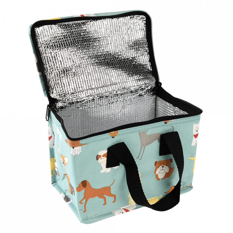 Insulated Lunch Bag