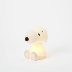 Bundle Of Light