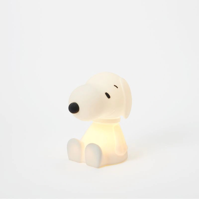 Bundle Of Light