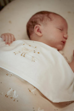 LD Blanket Pure & Soft 110 x 140