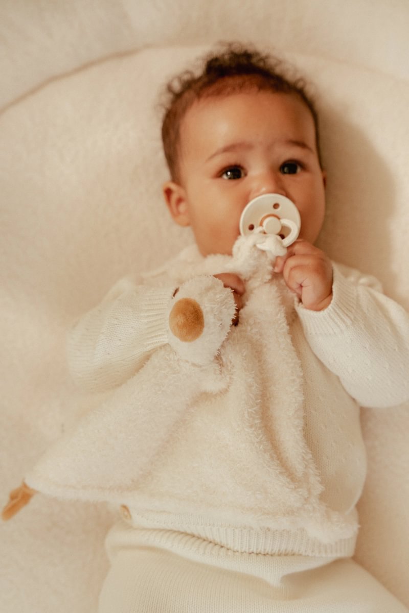 LD Cuddle Cloth Goose GRS