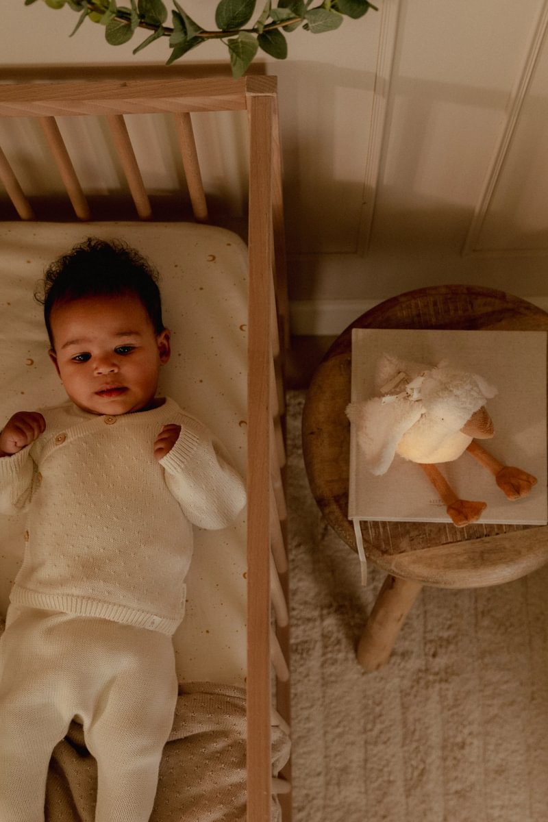 LD Cuddle Goose Light & Sound