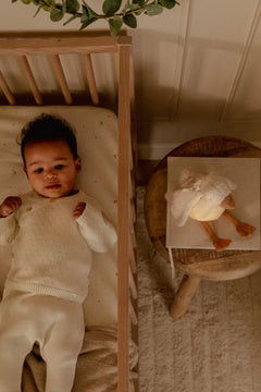 LD Cuddle Goose Light & Sound