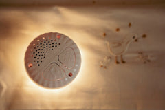 LD Cuddle Goose Light & Sound