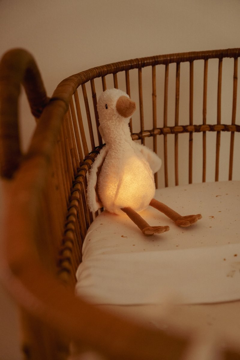 LD Cuddle Goose Light & Sound