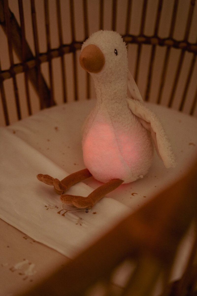LD Cuddle Goose Light & Sound